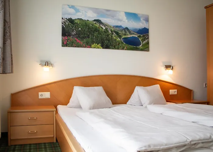 Holzmannhof Aparthotel Flachau